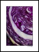 Bred_cabbage_002