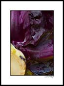 Dred_cabbage_004