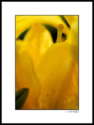 B_dsc4952b