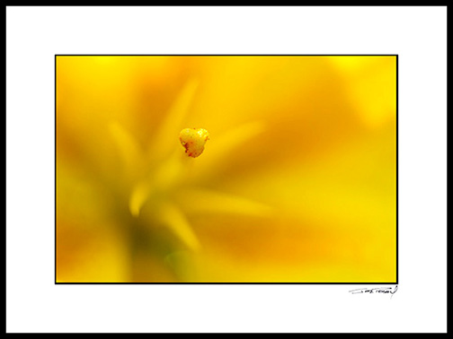 C_dsc4967