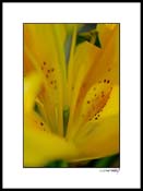 I_dsc5069e